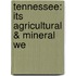 Tennessee: Its Agricultural & Mineral We