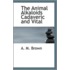 The Animal Alkaloids Cadaveric And Vital