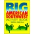 The Big American Southwest Activity Book