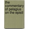 The Commentary Of Pelagius On The Epistl door Alexander Souter