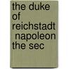 The Duke Of Reichstadt  Napoleon The Sec door Eduard Von Wertheimer