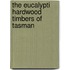 The Eucalypti Hardwood Timbers Of Tasman