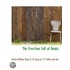 The Five-Foot Self Of Books