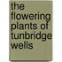 The Flowering Plants Of Tunbridge Wells