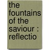 The Fountains Of The Saviour : Reflectio door John H. O'Rourke