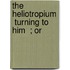 The Heliotropium   Turning To Him  ; Or