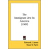 The Immigrant Jew In America (1907) door Onbekend