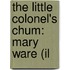 The Little Colonel's Chum: Mary Ware (Il