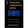 The Making Sense Of Intellectual Capital door Daniel Andriessen