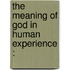 The Meaning Of God In Human Experience :