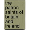 The Patron Saints Of Britain And Ireland door Anita Ganeri