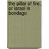 The Pillar Of Fire, Or Israel In Bondage