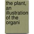 The Plant, An Illustration Of The Organi