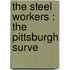 The Steel Workers : The Pittsburgh Surve