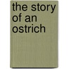 The Story Of An Ostrich by Judd Isaacs