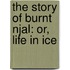 The Story Of Burnt Njal: Or, Life In Ice