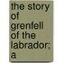 The Story Of Grenfell Of The Labrador; A