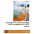 The Story Of The Token As Belonging To T