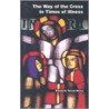 The Way Of The Cross In Times Of Illness door Elizabeth Thecla Mauro