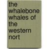 The Whalebone Whales Of The Western Nort door Frederick William True