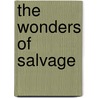 The Wonders Of Salvage by David Masters