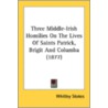 Three Middle-Irish Homilies On The Lives door Onbekend