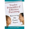 Twelve Principles Of Effective Parenting door David Celio