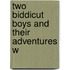 Two Biddicut Boys And Their Adventures W