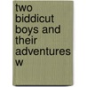 Two Biddicut Boys And Their Adventures W door J.T. 1827-1916 Trowbridge