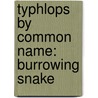 Typhlops By Common Name: Burrowing Snake by Unknown