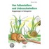 Von Fallenstellern und Liebesschwindlern