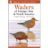 Waders Of Europe, Asia And North America