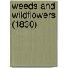 Weeds And Wildflowers (1830) by Unknown
