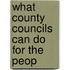 What County Councils Can Do For The Peop