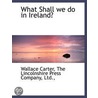 What Shall We Do In Ireland? door Wallace Carter