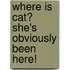 Where Is Cat? She's Obviously Been Here!