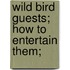 Wild Bird Guests; How To Entertain Them;