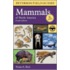 A Field Guide to Mammals of North America