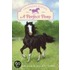 A Perfect Pony [With Pony Charm Necklace]