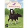 A Perfect Pony [With Pony Charm Necklace] by Lois K. Szymanski