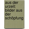 Aus Der Urzeit: Bilder Aus Der Schöpfung by Karl Alfred Von Zittel