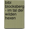 Bibi Blocksberg - Im Tal der wilden Hexen door Matthias von Bornstädt