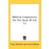Biblical Commentary on the Book of Job V1