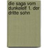 Die Saga vom Dunkelelf 1. Der dritte Sohn
