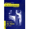 Die Welle. Erläuterungen und Materialien door Morton Rhue