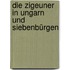 Die Zigeuner In Ungarn Und Siebenbürgen