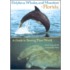 Dolphins, Whales, And Manatees Of Florida