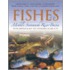 Fishes of the Middle Savannah River Basin