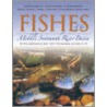 Fishes of the Middle Savannah River Basin by Barton C. Marcy