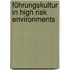 Führungskultur in High Risk Environments